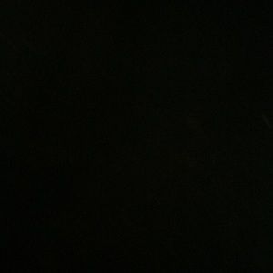 Meet your Posher, Madalaine